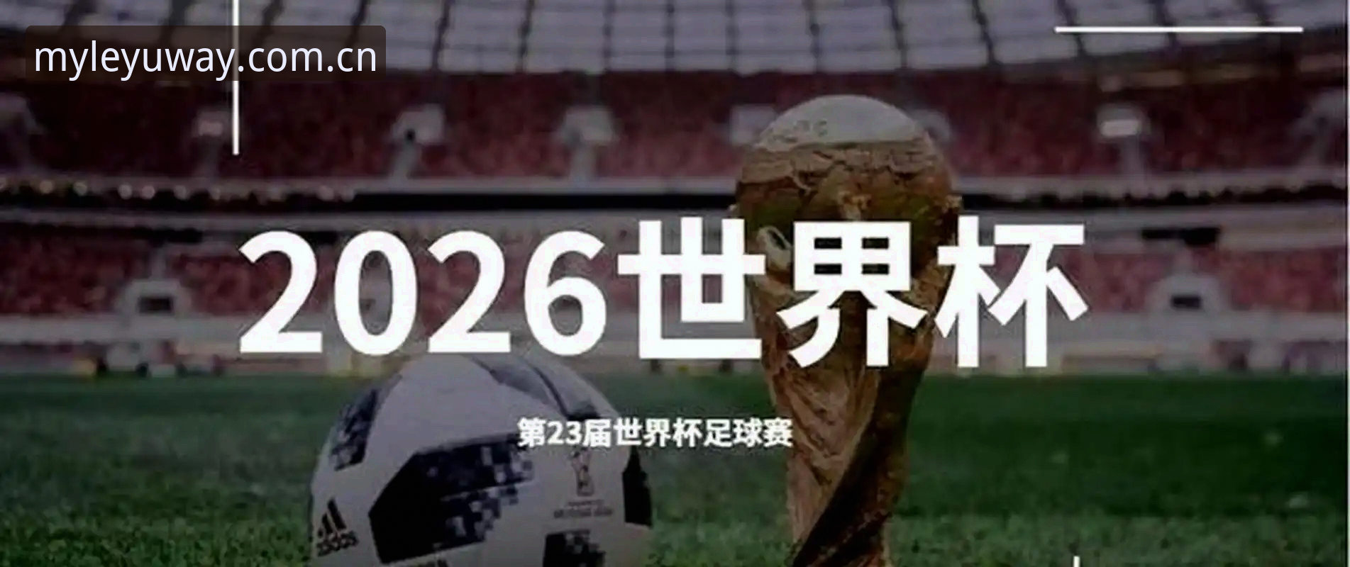 搞定"赛事替代站"的实用技巧，避开这3个坑就能爽看2026