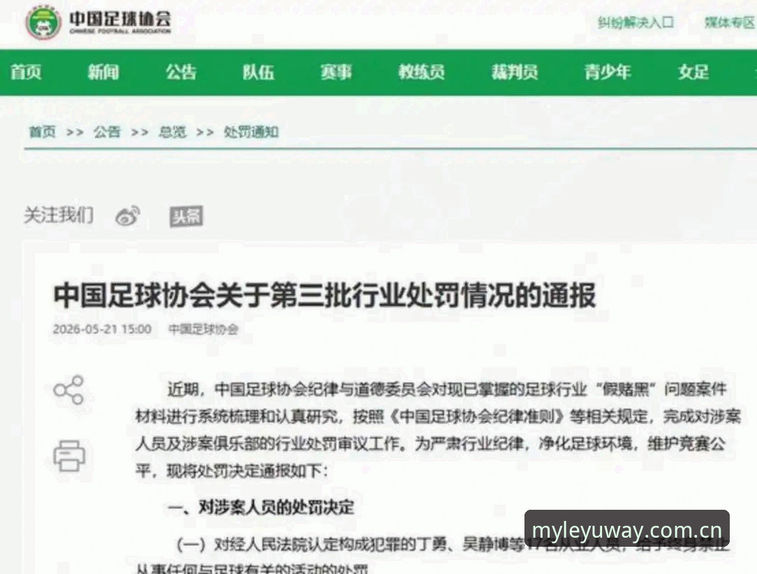 足协第三批禁足名单深度分析：17人终身禁足、48人限业，乐鱼赛事数据拆解操纵比赛链条